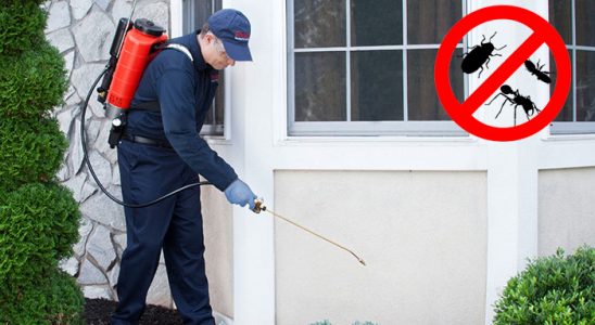 Beşikdüzü Hamam Böceği İlaçlama böcek ilaçlama ve haşere kontrolü — ilaclama-tr.com